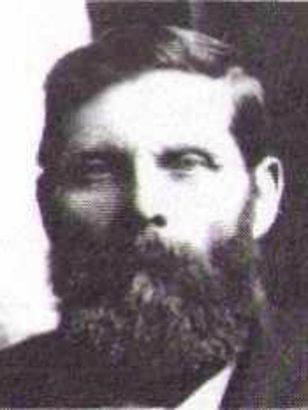 William Edward Cole (1848 - 1924) Profile